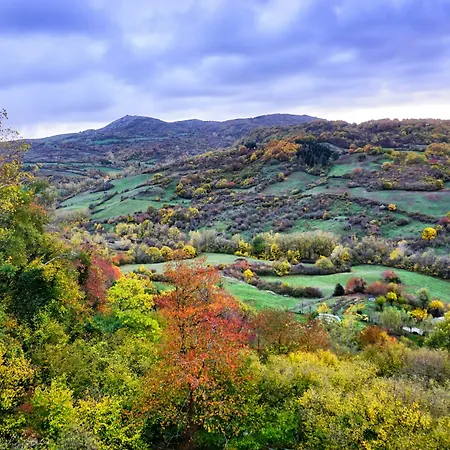 Bio I Rondinelli Feriegård *