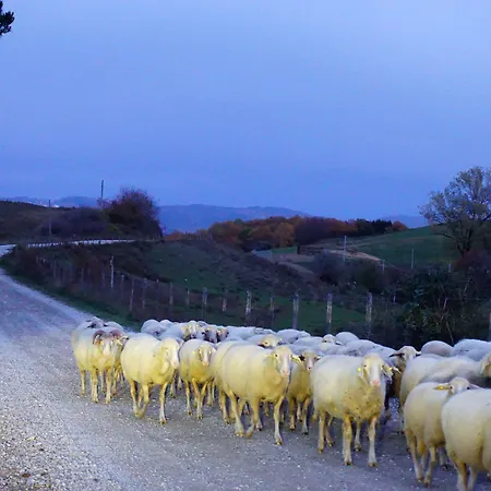 Bio I Rondinelli Feriegård Arcidosso