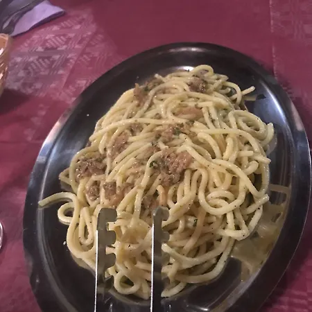 Bio I Rondinelli * Arcidosso