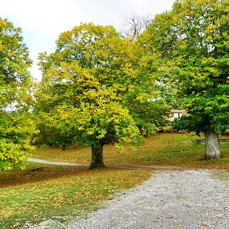 Bio I Rondinelli Feriegård