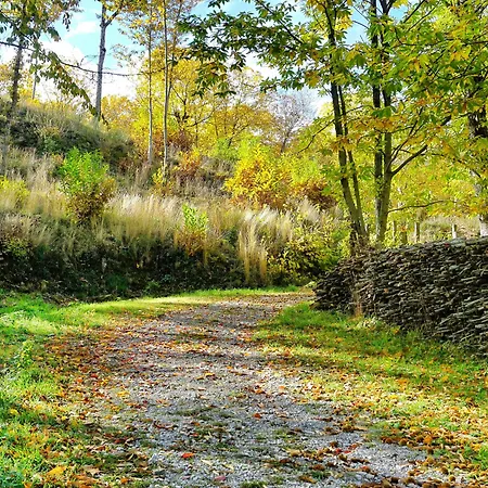 Bio I Rondinelli Feriegård Arcidosso