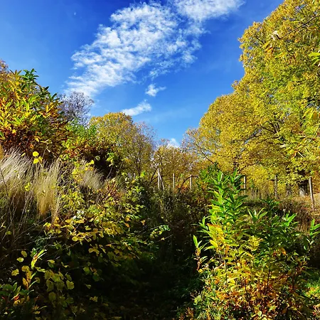 Feriegård Bio I Rondinelli Arcidosso