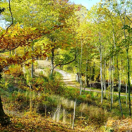 Bio I Rondinelli Feriegård