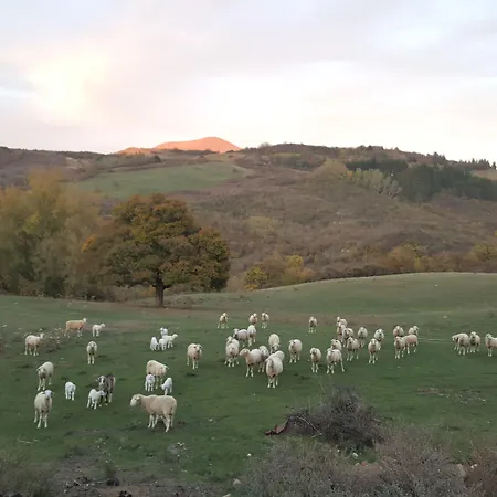 Bio I Rondinelli Arcidosso
