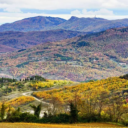 Feriegård Bio I Rondinelli
