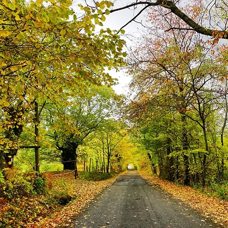 Bio I Rondinelli Feriegård *