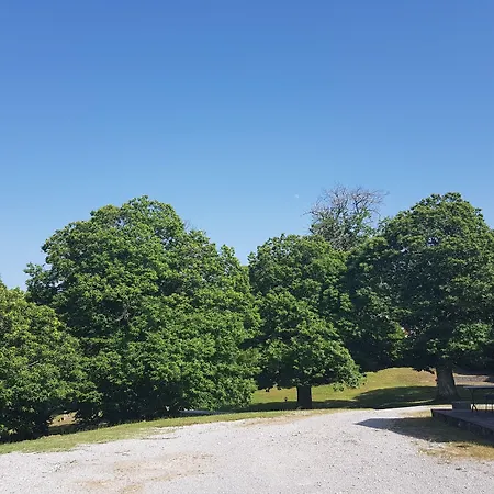 Bio I Rondinelli Arcidosso