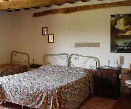 Bio I Rondinelli * Arcidosso