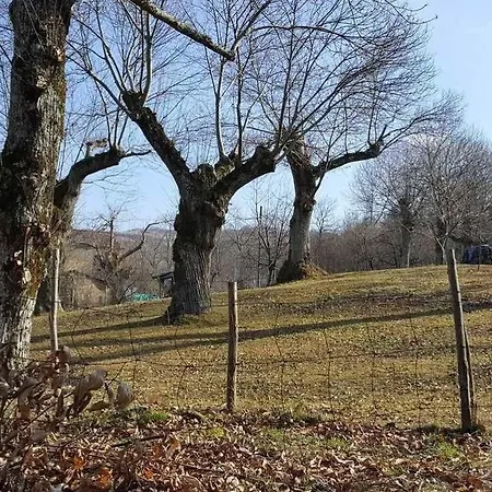 Alloggio per agriturismo Bio I Rondinelli
