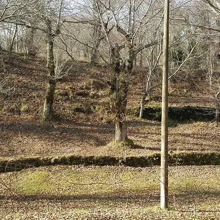 Bio I Rondinelli Arcidosso