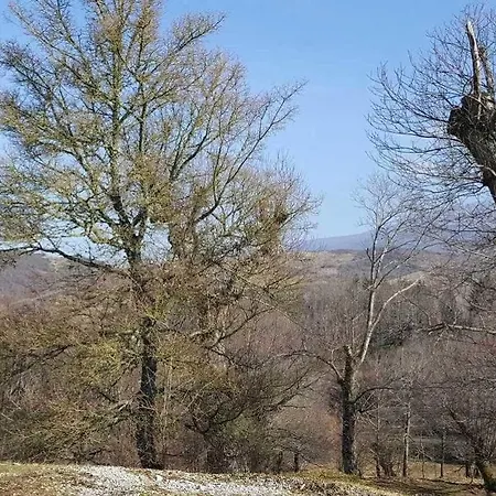 Bio I Rondinelli * Arcidosso