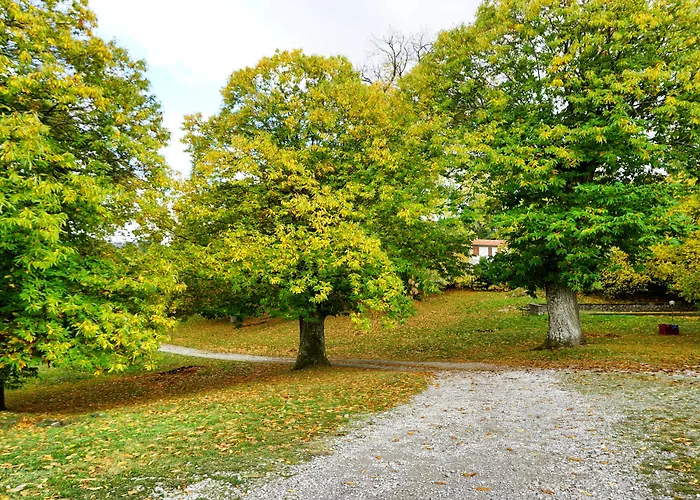 Bio I Rondinelli ファームステイ