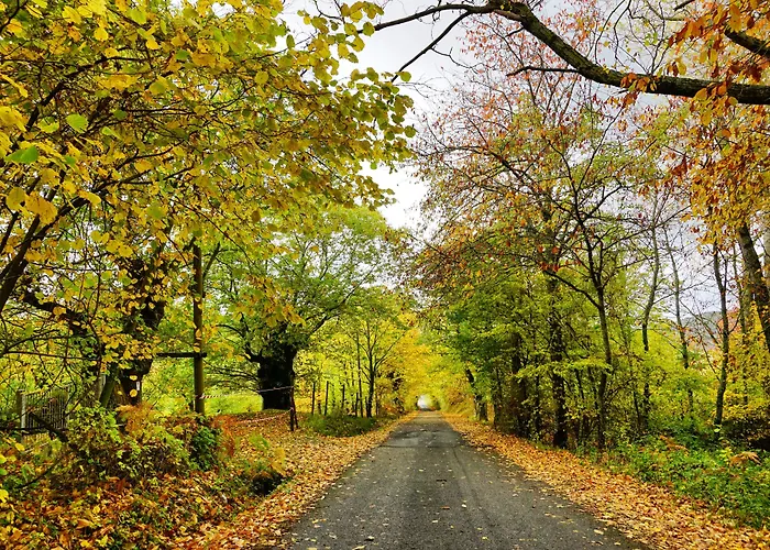 Bio I Rondinelli ファームステイ *